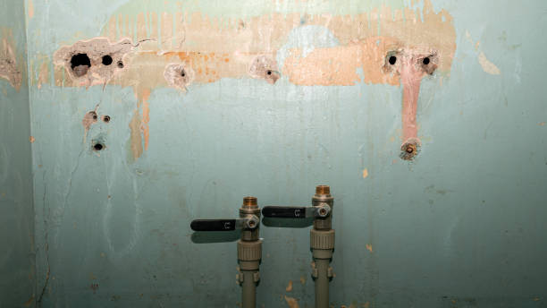 Best Ceiling water damage repair  in Sidney, OH